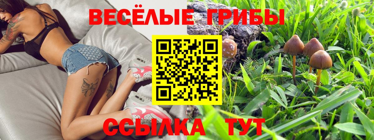 Галлюциногенные грибы Cubensis Озёрск