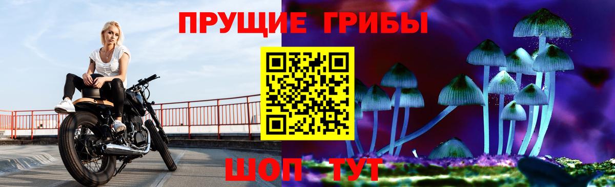Озёрск  Галлюциногенные грибы Psilocybine cubensis  Вход с VPN 